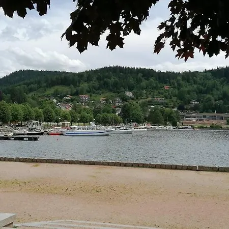 Appartement Le Meleze, Petit Nid Douillet