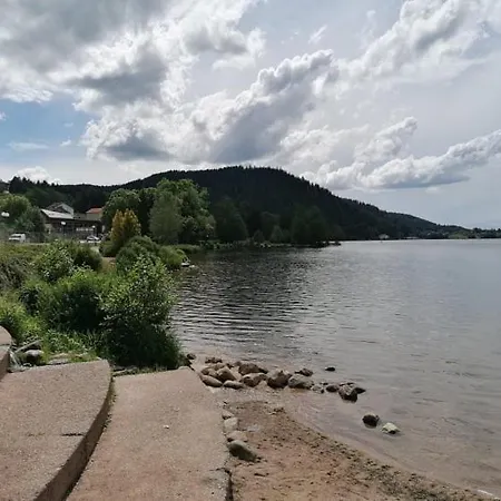 Le Meleze, Petit Nid Douillet Gérardmer